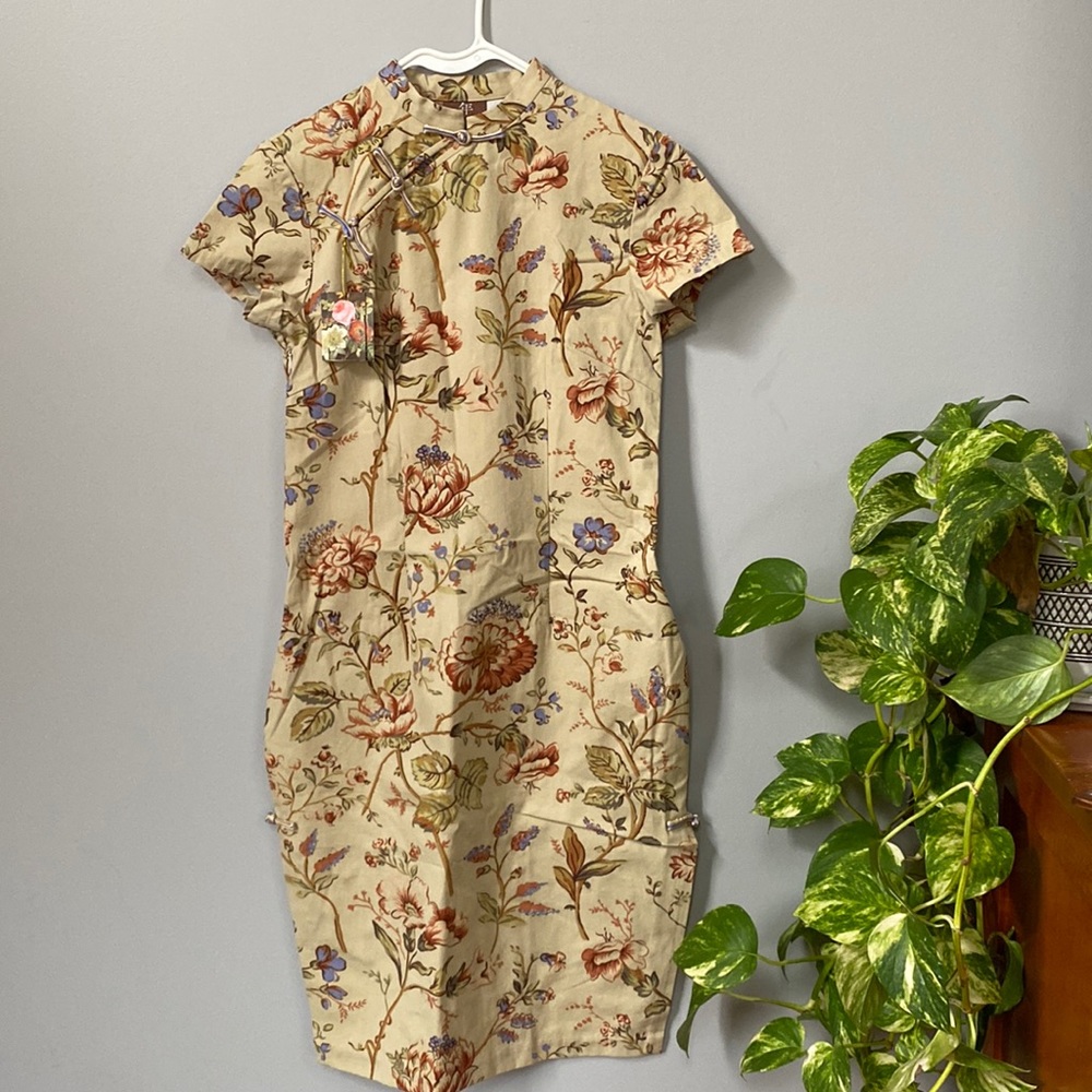 Chinese culture formal new year dress.